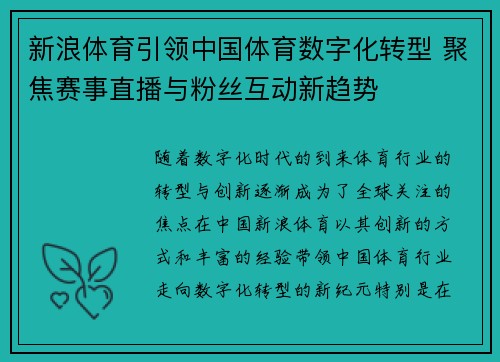 新浪体育引领中国体育数字化转型 聚焦赛事直播与粉丝互动新趋势